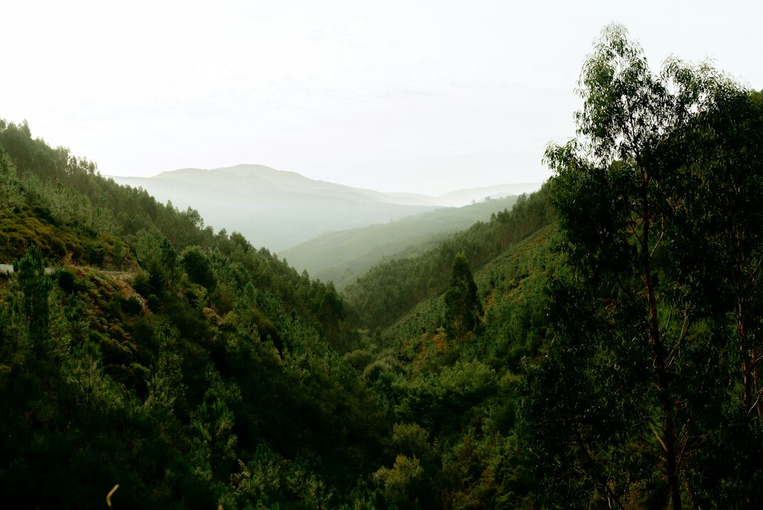 nature conservation