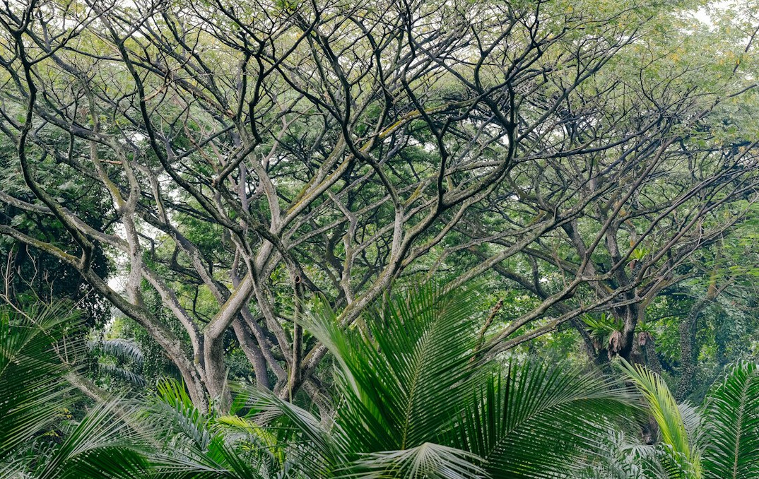 green files eco benefits